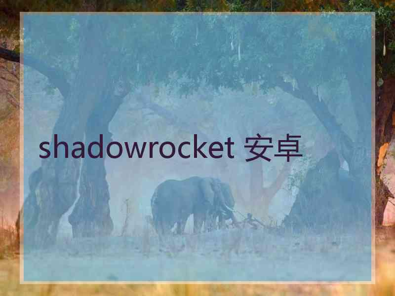 shadowrocket 安卓