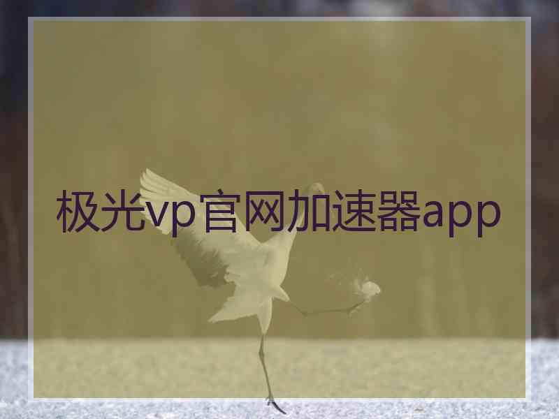极光vp官网加速器app