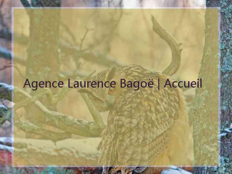 Agence Laurence Bagoë | Accueil