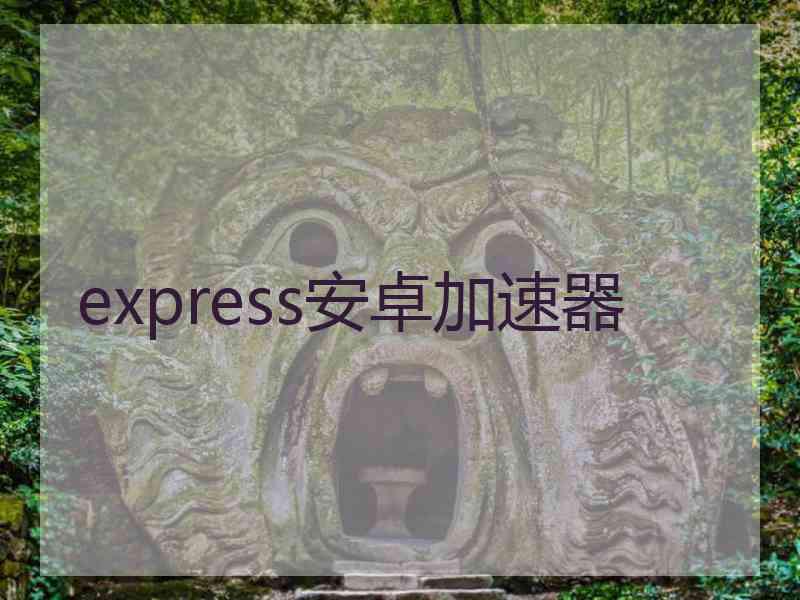 express安卓加速器