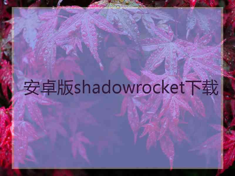 安卓版shadowrocket下载
