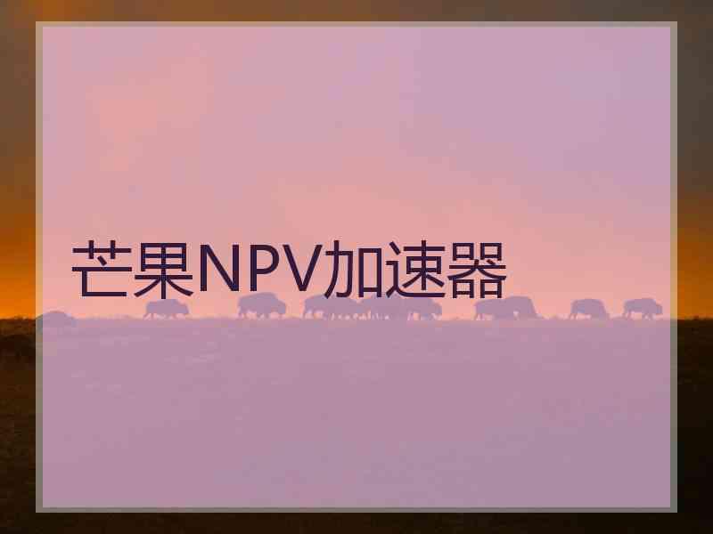 芒果NPV加速器