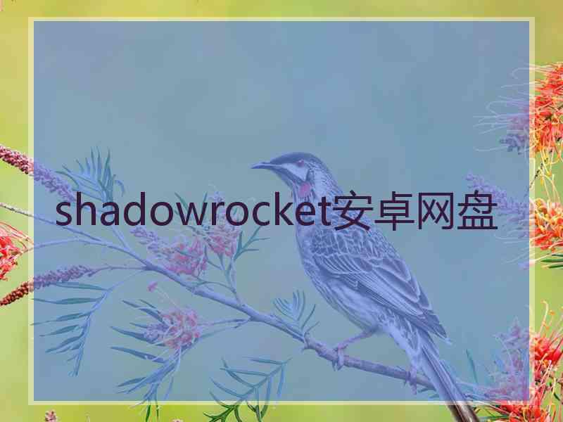 shadowrocket安卓网盘