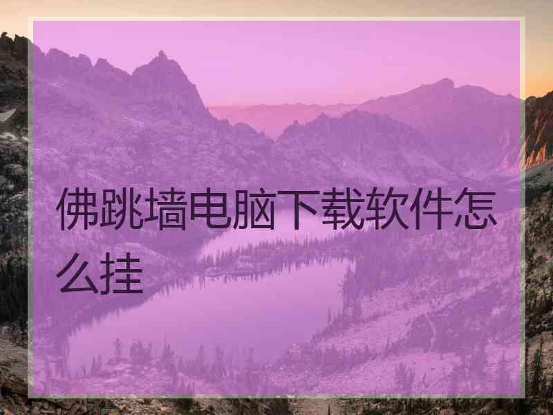 佛跳墙电脑下载软件怎么挂