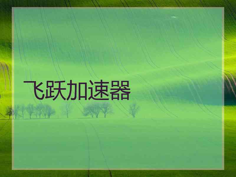 飞跃加速器