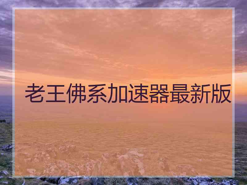 老王佛系加速器最新版