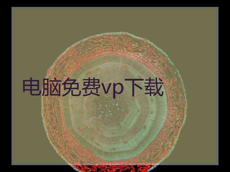 电脑免费vp下载