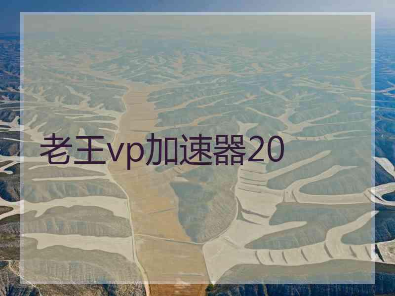 老王vp加速器20