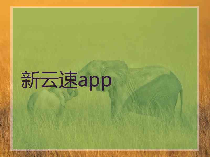 新云速app