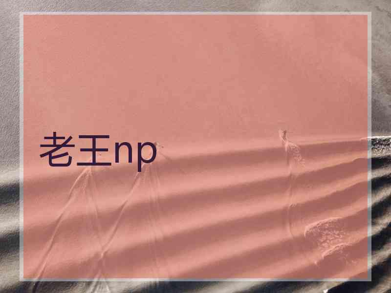 老王np
