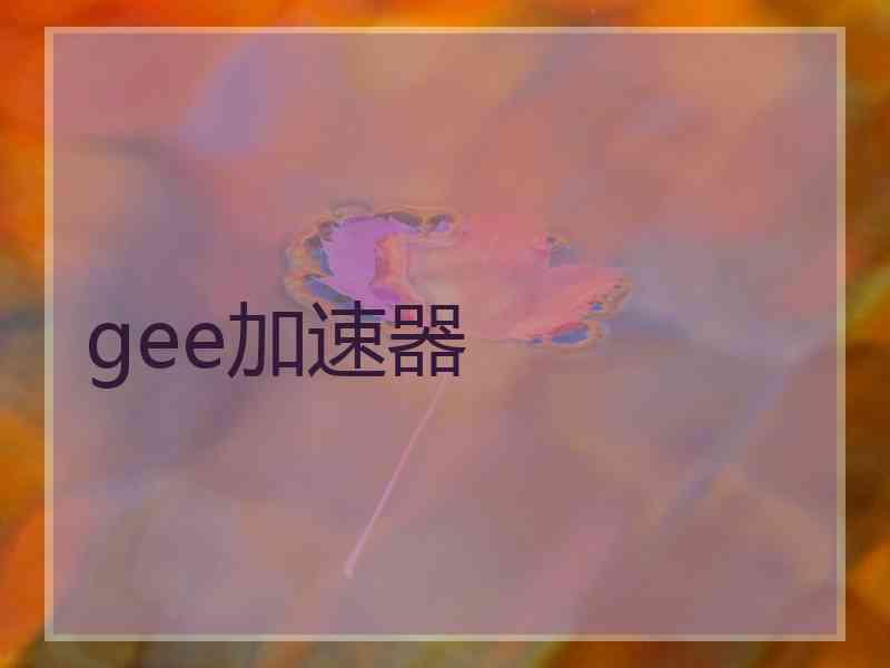 gee加速器
