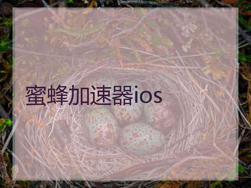 蜜蜂加速器ios