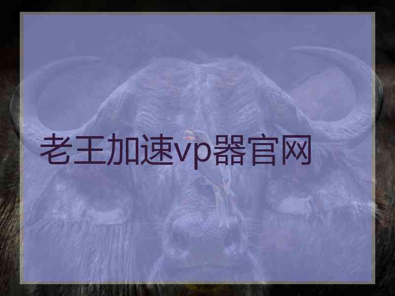 老王加速vp器官网