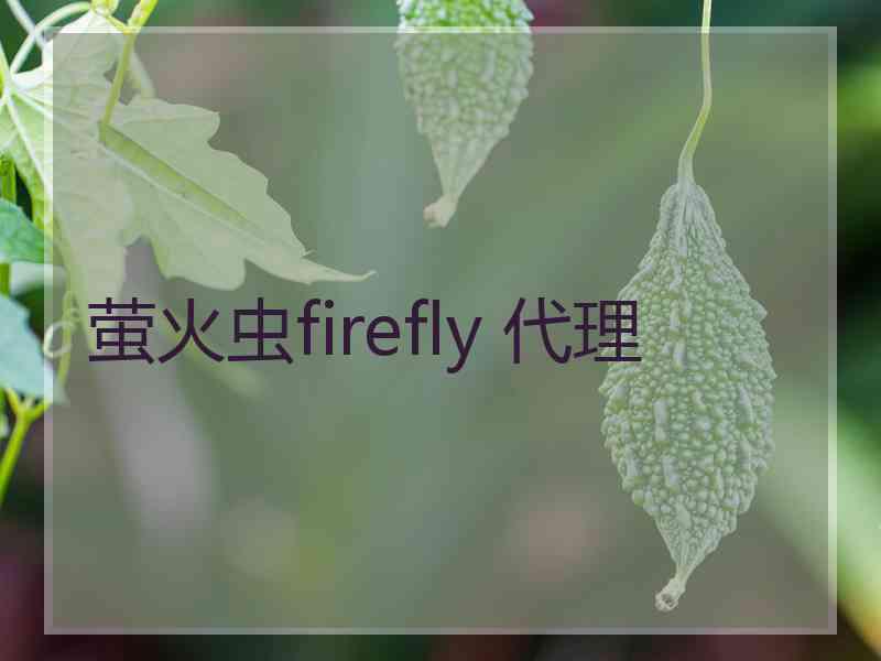 萤火虫firefly 代理