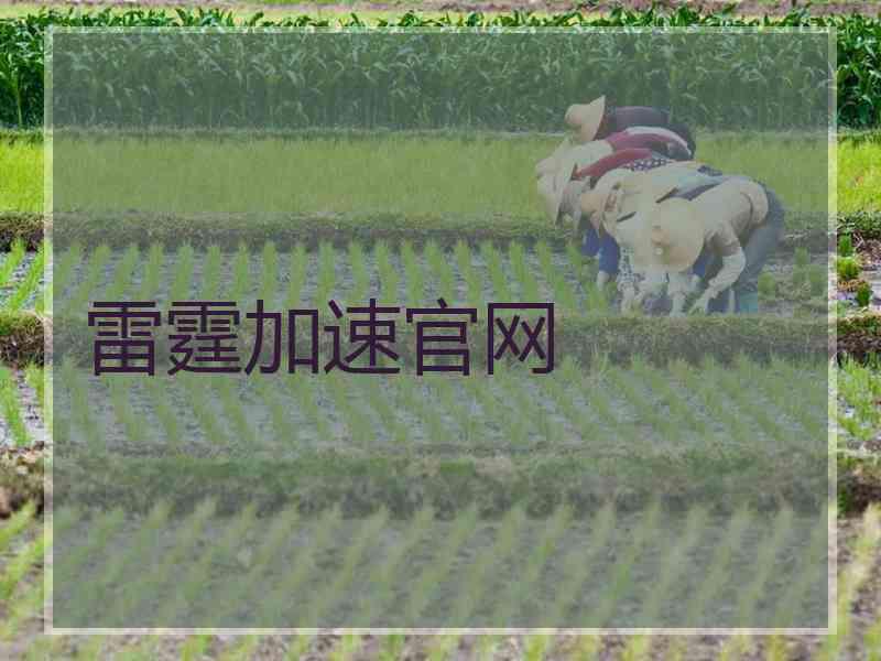 雷霆加速官网