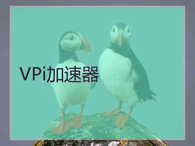 VPi加速器