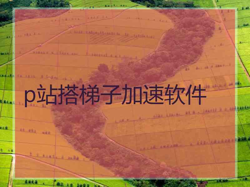 p站搭梯子加速软件