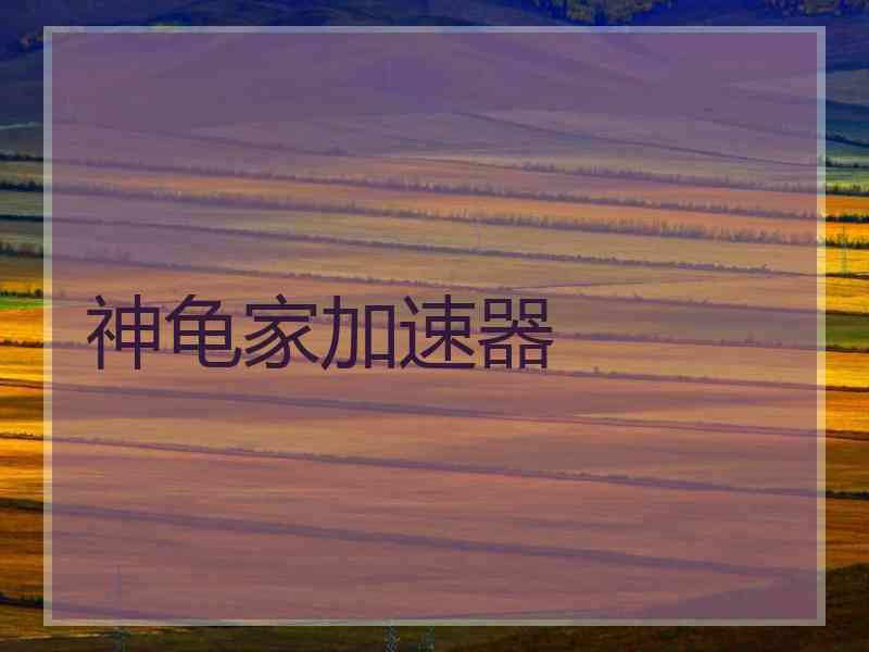 神龟家加速器