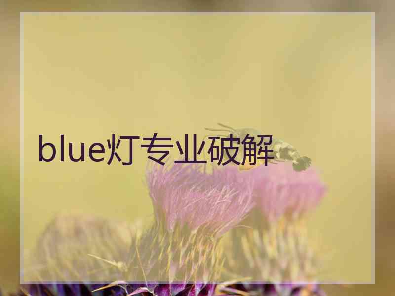 blue灯专业破解