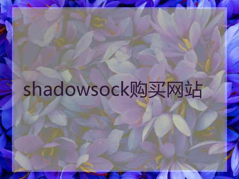 shadowsock购买网站