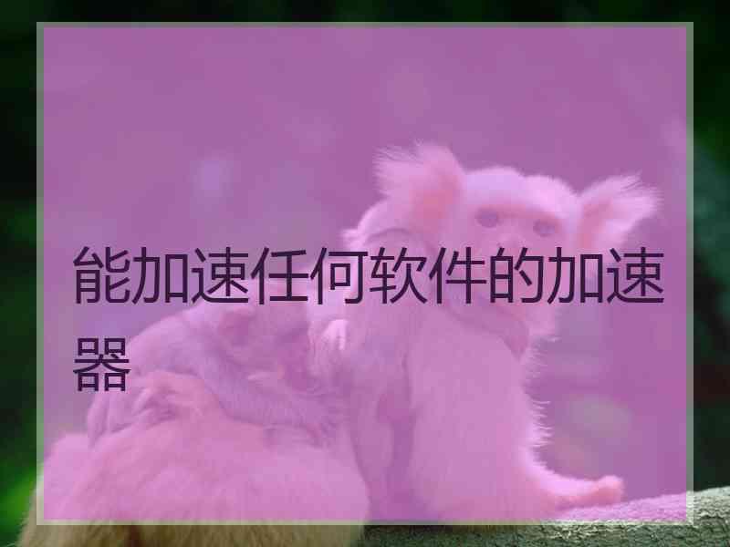 能加速任何软件的加速器