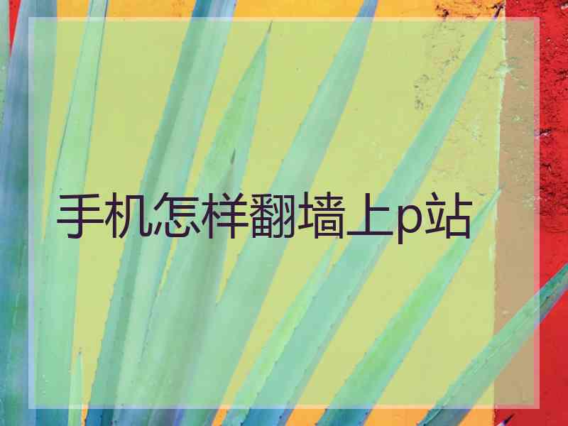 手机怎样翻墙上p站