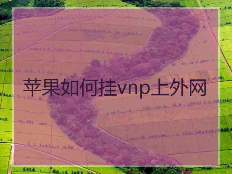 苹果如何挂vnp上外网