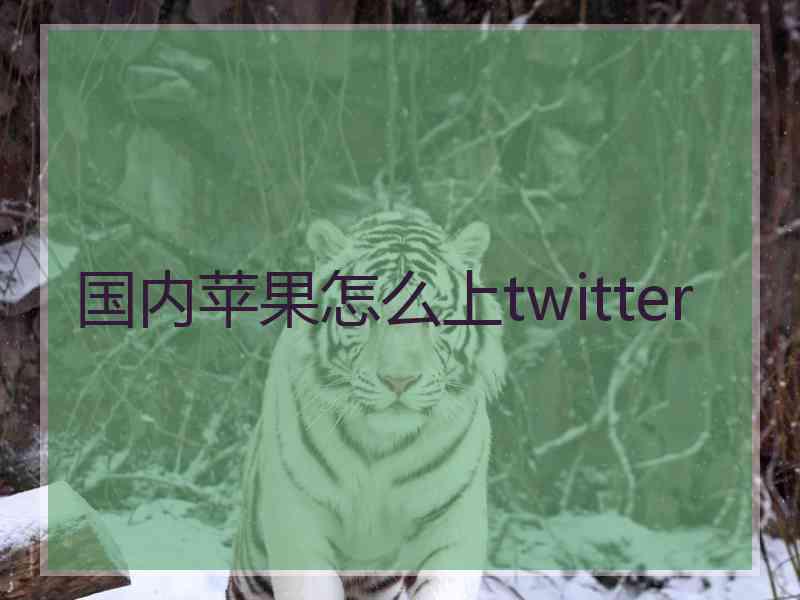 国内苹果怎么上twitter