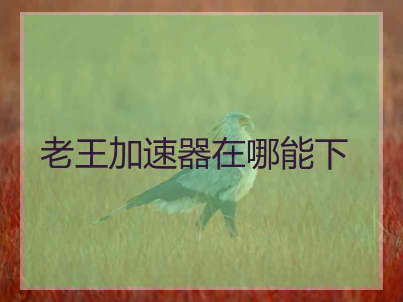老王加速器在哪能下