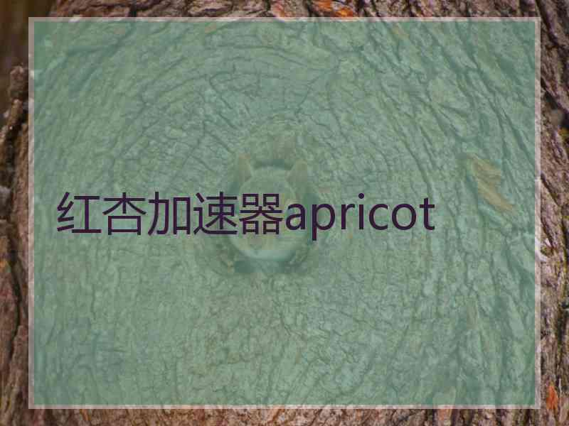 红杏加速器apricot