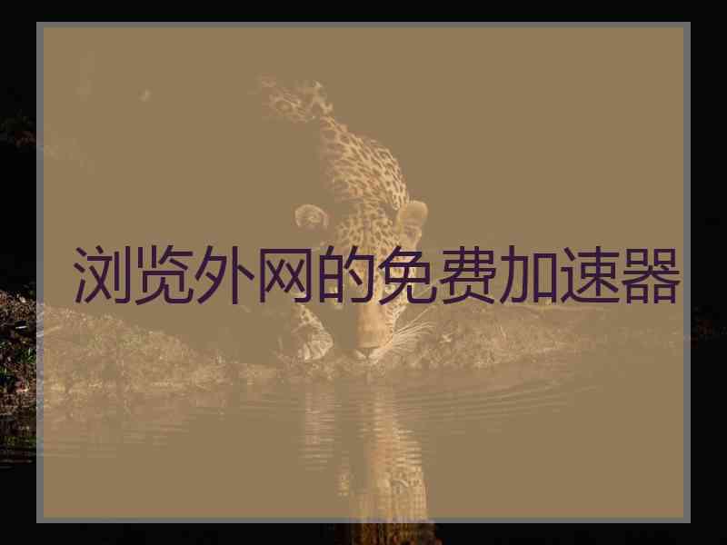浏览外网的免费加速器