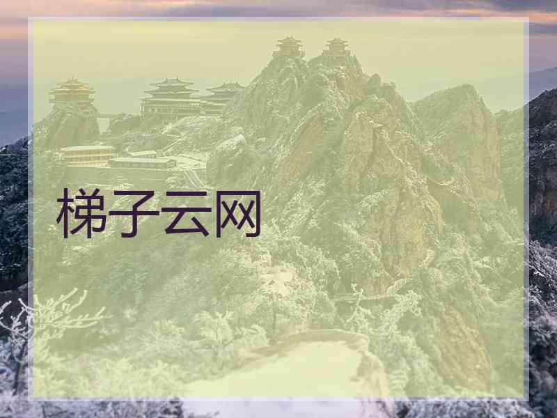 梯子云网