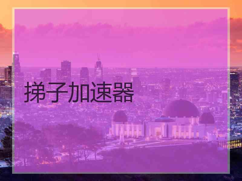 挮子加速器