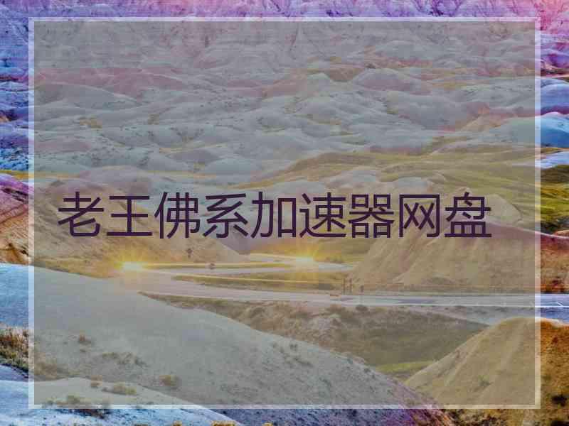 老王佛系加速器网盘
