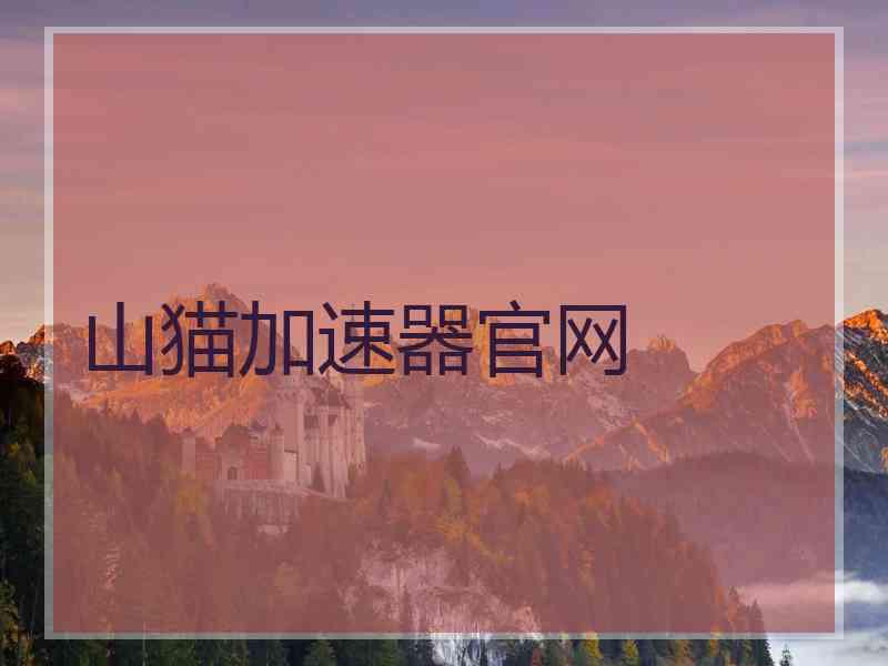 山猫加速器官网