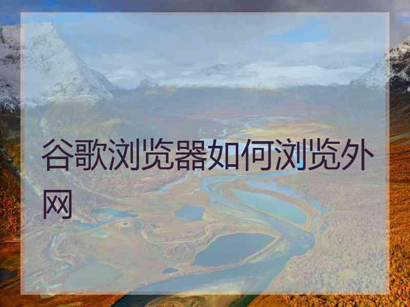 谷歌浏览器如何浏览外网