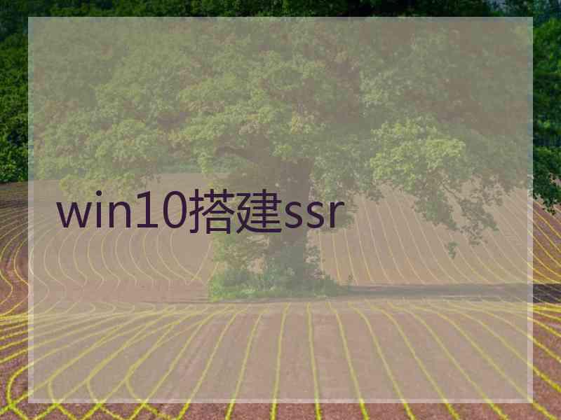 win10搭建ssr