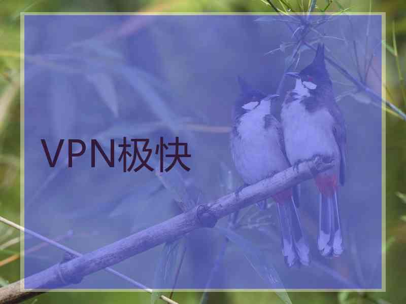 VPN极快