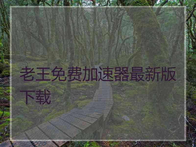 老王免费加速器最新版下载
