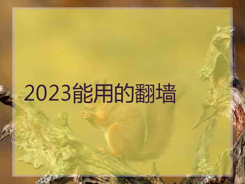 2023能用的翻墙