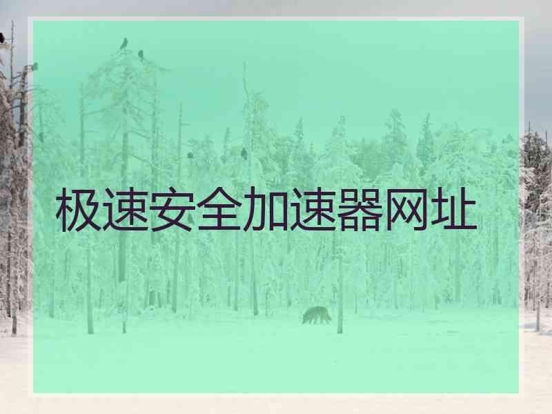 极速安全加速器网址