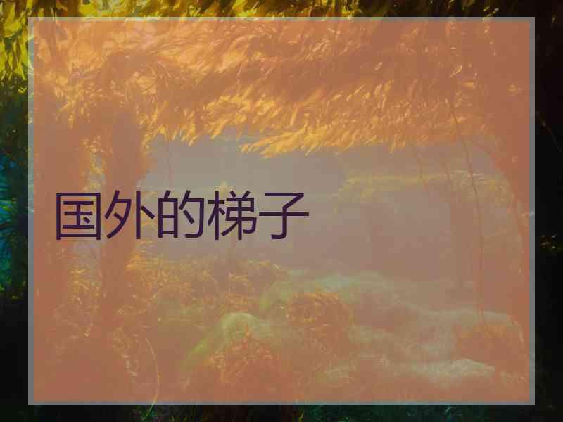 国外的梯子