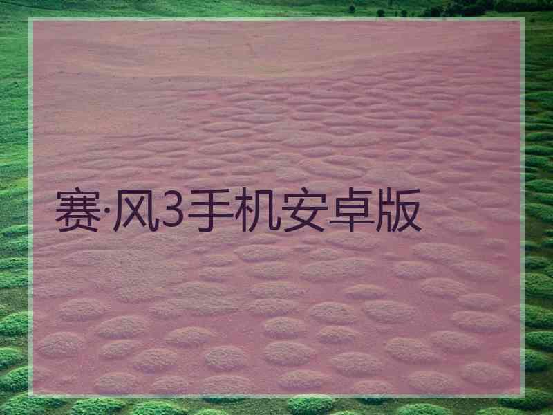 赛·风3手机安卓版
