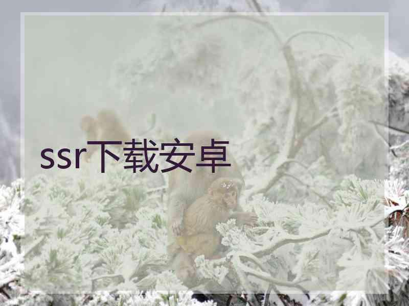 ssr下载安卓