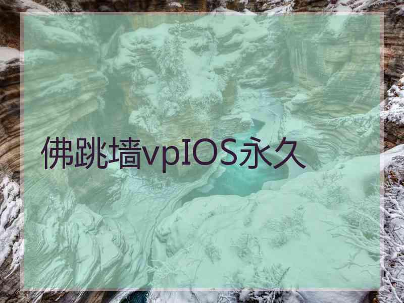 佛跳墙vpIOS永久