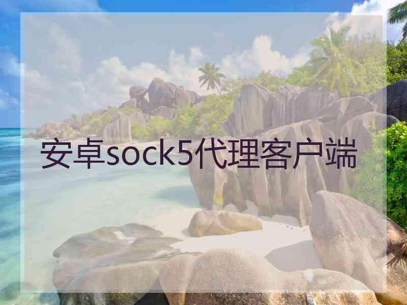 安卓sock5代理客户端