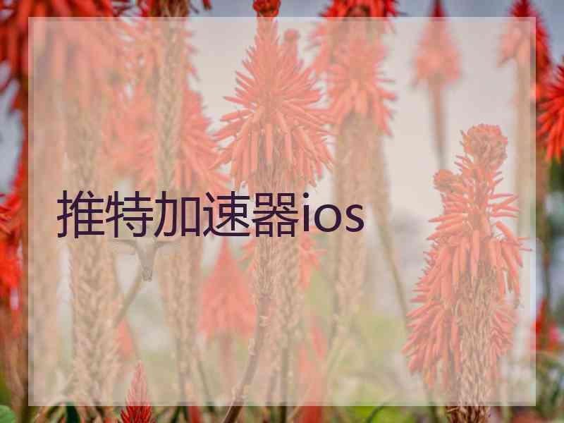 推特加速器ios