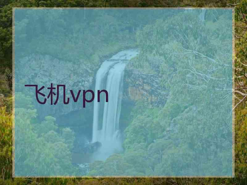 飞机vpn