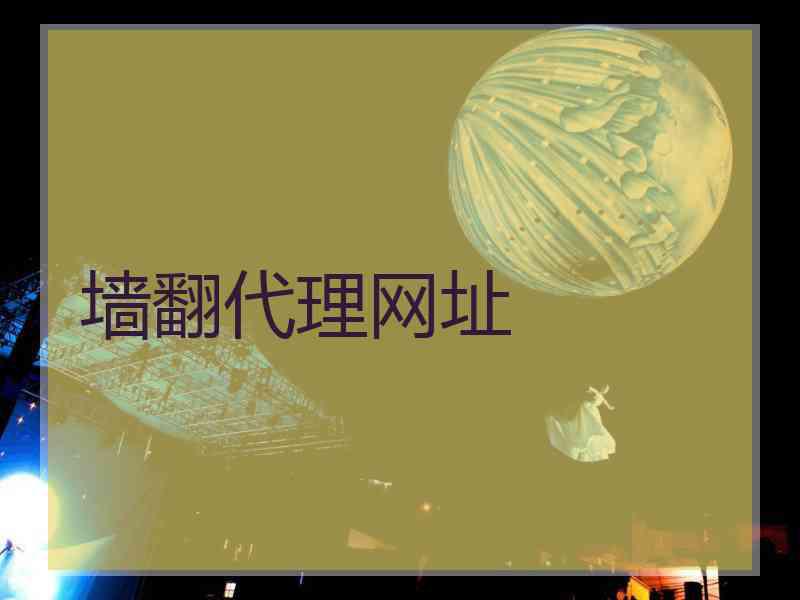 墙翻代理网址