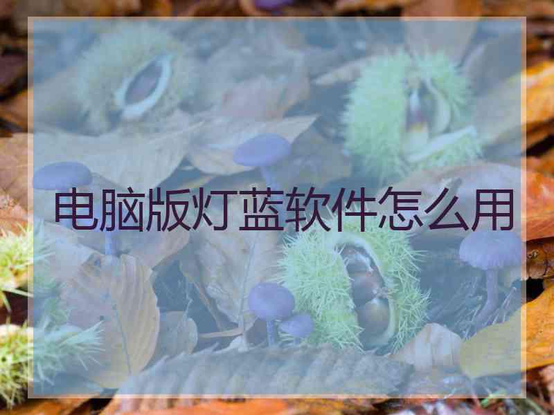 电脑版灯蓝软件怎么用